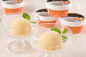 oYj Mtg XC[c mَq kC [ACX oY j  Ԃ XC[c mَq ACX lC (SK)y j YO  1 j 5000~ Hi ʐ^