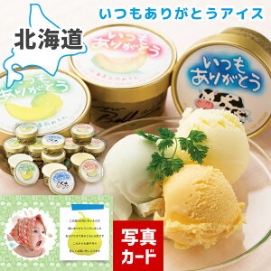 XC[c mَq oYj j Mtg 肪Ƃ kC ACX Zbg ʐ^ J[h oY j  Ԃ XC[c mَq ACX lC (SK)y jMtg j 1 