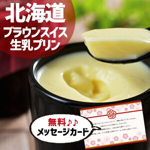 Ε  ~Mtg mَq XC[c oYj Mtg kC uEXCX v ʐ^  J[h oY j  nXC[c XC[c lC (SK)y  j