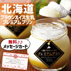 Ε  ~Mtg oYj mَq XC[c Mtg kC \ v~A v ʐ^  J[h oY j  Ԃ nXC[c lC (SK)y  j 