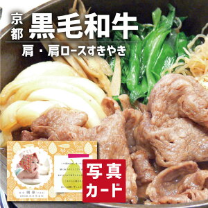 Ε  ~Mtg  oYj Mtg Y јa [X ₫ p ʐ^ J[h oY j  Ԃ O Y uh lC O (SK)y  