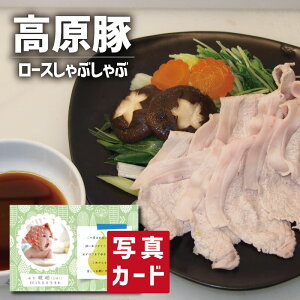 oYj ؓ Mtg Og ؃[X Ԃԗp ʐ^  J[h oY j  Ԃ Hו O Ε Y uh lC (SK)y  j 