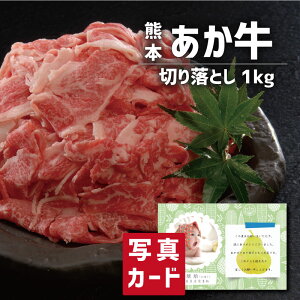 Ε   oYj j Mtg ܂Ƃ  ؗ ʐ^ J[h oY j  Ԃ O Y Y uh lC O (SK)y  j 1 