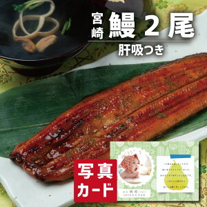Mtg {茧Y Ȃ 2i̋zt) ʐ^  J[h oY j  Ԃ O Y CN Hו lC O (SK)y  j   1 Hi 