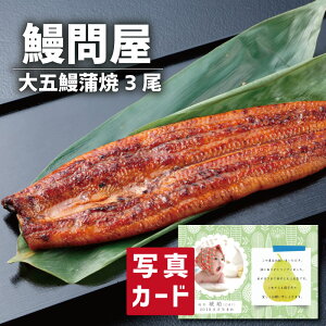 oYj Mtg Ȃ≮̑܉V3Zbg ʐ^ J[h oY j  Ԃ O Ε  Y CN Hו lC O Ε  (SK)y j 