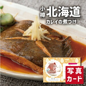 oYj Mtg MY ꂢ̎ς oY j  Ԃ O Ε  CN Hו lC (SK)y  ސE a 蕨 j  YO  1 j