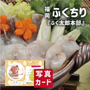 oYj Mtg  ӂ Zbg oY j  Ԃ O Ε  Hו lC (SK)y  O  a 蕨 j  YO  1 