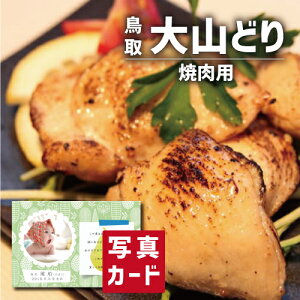 oYj Mtg  Rǂ ē oY j  ސEj Ԃ  O Y { lC (SK)y O  ސE a 蕨 j YO  1 j 5000