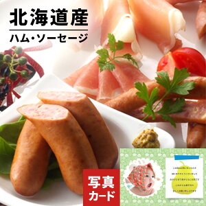 oYj Mtg kCY n T~ Zbg oY  jԂ  O lC (SK)y O  a 蕨 j  YO  1 5000~ Hi 