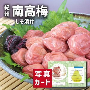 oYj Mtg IB썂~  oY j  ސE Ԃ O Ε Hו lC (SK)y O Ε  ސE a 蕨 j  YO Ε 