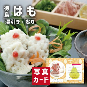 oYj Mtg  ጎ ͂  t l oY j  Ԃ CN Hו lC (SK)y O  ސE a 蕨 j YO  1 5000~ Hi 