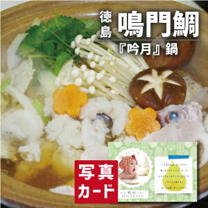 oYj Mtg  ጎ   oY j  ސE Ԃ O Ε Hו lC (SK)y  O Ε  a 蕨 j  YO Ε 