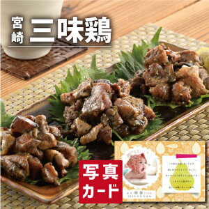 oYj Mtg { O{ B oY j  ސE Ԃ  O Y { lC (SK)y  O  a 蕨 j  YO  1 j 5000