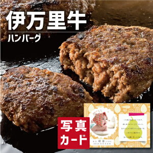 oYj Mtg  ɖ no[O oY j  Ԃ   O Ε  Hו lC (SK)y  ސE a 蕨 j  YO  1 