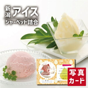oYj Mtg VY ʕ ACXN[ l oY j  Ԃ XC[c mَq lC (SK)y O  ސE a 蕨 j Yn  1 j 5000