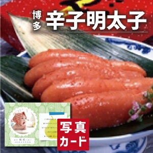 oYj Mtg F hqq oY j  Ԃ O CN Hו lC (SK)y  O  ސE a 蕨 j  YO  1 6000~ 