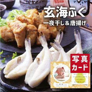 oYj Mtg Cӂ̓gƈ銱 oY j  Ԃ O CN Hו lC (SK)y O  ސE a 蕨 j YO  1 j 5000~