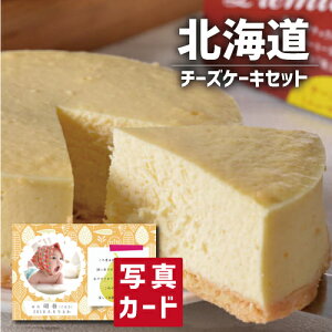 oYj Mtg kC `[YP[L Zbg oY j  Ԃ XC[c mَq َq lC (SK)y O  a 蕨 j  YO  1 6000~