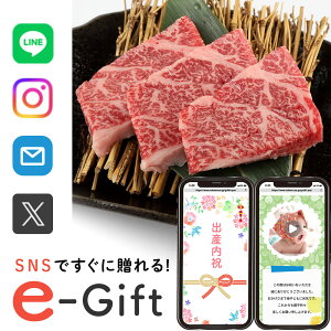 y eMtg [ z Hו a  Mtg X}ző \[VMtg j   a JCm~ 250g  މ@j Ԃ 5000~  ʐ^ e-Gift j oYj 