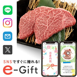y eMtg [ z Hו a  Mtg X}ző v[g \[VMtg j   a gEKV 250g  Cj މ@j Ԃ 5000~  ʐ^ e-Gift 