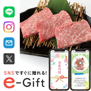 y eMtg [ z Hו a  Mtg X}ző \[VMtg j  LO  a Uug 500g  މ@j Ԃ 10000~  ʐ^ e-Gift j oY