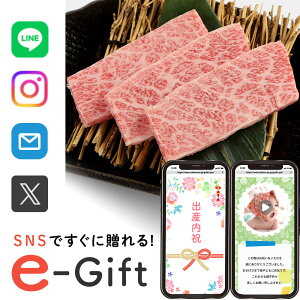 y eMtg [ z Hו a  Mtg X}ző \[VMtg j  LO  a Opo 500g  މ@j Ԃ 10000~  ʐ^ e-Gift j oY