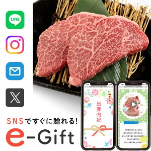 y eMtg [ z Hו a  Mtg X}ző \[VMtg j   a gEKV 500g  Cj މ@j Vz Ԃ 10000~  ʐ^ e-Gift j