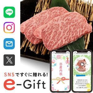 y eMtg [ z Hו a  Mtg X}ző \[VMtg j  LO  a VV 500g  މ@j Ԃ 10000~  ʐ^ e-Gift j oY