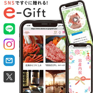 J^OMtg j j X}ző a j \[VMtg eMtg  jԂ 25000~ R[X J^O O ̌  ʐ^ Hi Vzj Vzj