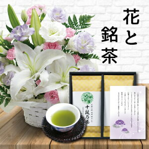    J[ AWg JSt  ōʏ\iďC  Mtg Zbg䋟 䋟   V  ފ   ~ V~ @     