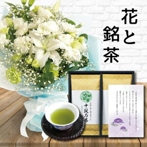     L X^fBO u[P  ōʏ\iďC  Mtg Zbg䋟 䋟   ފ   ~ V~ @      O 