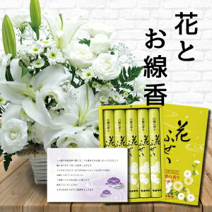      AWg JSt    Zbg䋟 䋟   V  ފ  ~ ~ V~ @      O 
