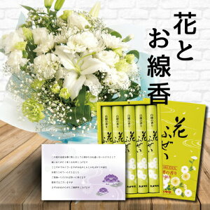     L X^fBO u[P    Mtg Zbg䋟 䋟   ފ  ~ ~ V~ @      O  l