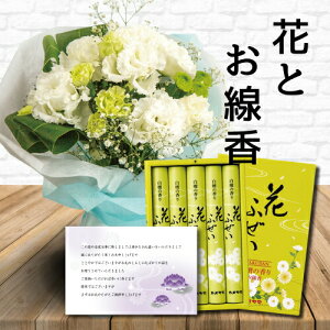      X^fBO u[P    Zbg䋟 䋟   ފ  ~ ~ V~ @      O  l\