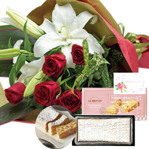 t[Mtg j ԂƃXC[c MtgZbg   bho ԑ  A}h Z{؃tB[ʐ^EꃁbZ[WJ[h   (SE) [] ސEjҗ