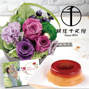 j a  vU[uht[ a AW sN  D I v Mtg Zbg j N ސEj lC LO   50 60  (DB) [ԃZ] av