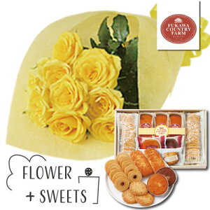 t[Mtg j  t[MtgZbg bZ[WJ[h  XC[c  LՂXC[cl CCG[ o ԑ {  (SE) ސEj oY j