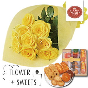 t[Mtg j  t[MtgZbg bZ[WJ[h  XC[c  LՂXC[cl BCG[ o ԑ {  (SE) ސEj oY j