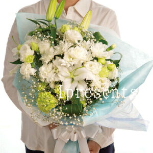 t[Mtg j 蕨   L X^fBO u[P P Ď   ސE LO j މ@j v[g e jԂ a  gift (HM) MtgZbg 