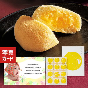 ӂӂ JX^[hN[ P[L 12 َq Vzj Ԃ E x Ԃ g Cj Cj  Ԃ މ@j  v[g 50 60 70 80  