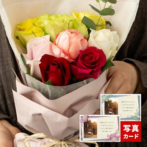 a v[g ԑ o u[P Jt 8{   t[ Mtg TvCY މ@ ސE oY j j LO  Ê  P Ď  j Ԃ  