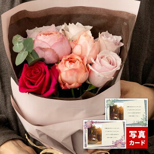 a v[g ԑ o u[P XC[g 8{   t[ Mtg TvCY މ@ ސE oY j j LO  Ê  P Ď  j Ԃ  