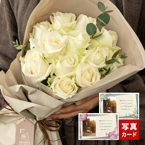 v|[Y _Y[Y a v[g o u[P sA 12{ ԑ   t[ Mtg TvCY  ʂȑ蕨 މ@ ސE oY j j j Ԃ  