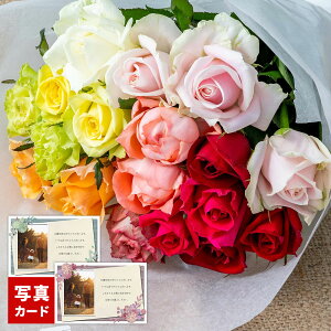 a v[g ԑ tbV u[P Jt 18{   t[ Mtg v|[Y TvCY މ@ ސE oY j  j j j  } tw 6000~ L