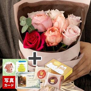 a v[g ԑ o u[P XC[g 8{ ԑ   Aj} h[ic Zbg َq 킢 t[ Mtg މ@ ސE oY j  j  Ê  P Ď  