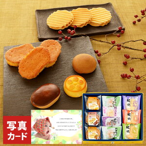 a mَq l A Vzj e Ԃ E Ԃ }}F g i V Cj Cj AEj  Ԃ މ@j  50 60 70  җ Ê 3000~ (DB)y Mt