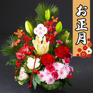  AWg 2026  }t AW     ؂ t[AWg y1226`30͂z ֐ _  a ؂₩  m u 8000