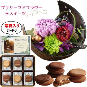 ԃMtg  vU[uht[ a    ōuh `R[g NbL[ Mtg Zbg v[g j ސEj j lC   60 70 av[g (D