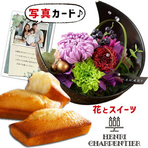 ԃMtg  vU[uht[ a    AVpeBG ĉَq v[g j ސEj j  60 av[g Vzj j XC[cZbg 10000~ 1