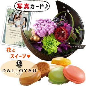 ԃMtg  vU[uht[ a    _C }J Mtg Zbg v[g j ސEj lC   50 60 70 80 av[g (DB) [ԃZ][] Vzj